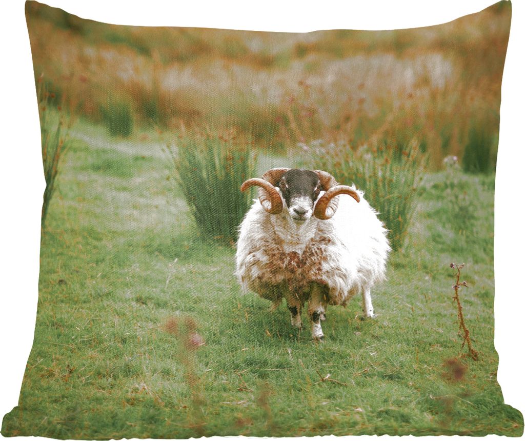MuchoWow Zierkissen Sofakissen Wohnzimmer Dekokissen 50x50 cm Schafe - Horn - Fell - Komfort - Sofakissen