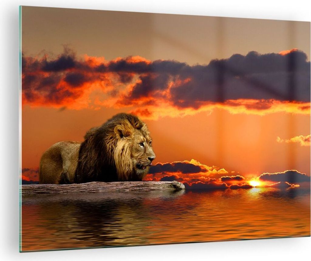 Bilder auf glas - Löwe Sonne Landschaft - 70x50cm - Glasbilder - Wandbilder - Kunstdruck - zum Aufhängen bereit - Wanddekoration aus Glas - Glas ...