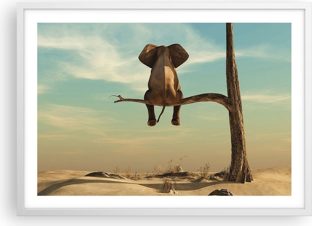 Gerahmtes Poster - Weißer Rahmen - Elefant sitzend Ast - 70x50 cm - Wand Bild - Wanddeko - Wandbilder - Kunstposter - Wandposter - Bilderrahmen - ...