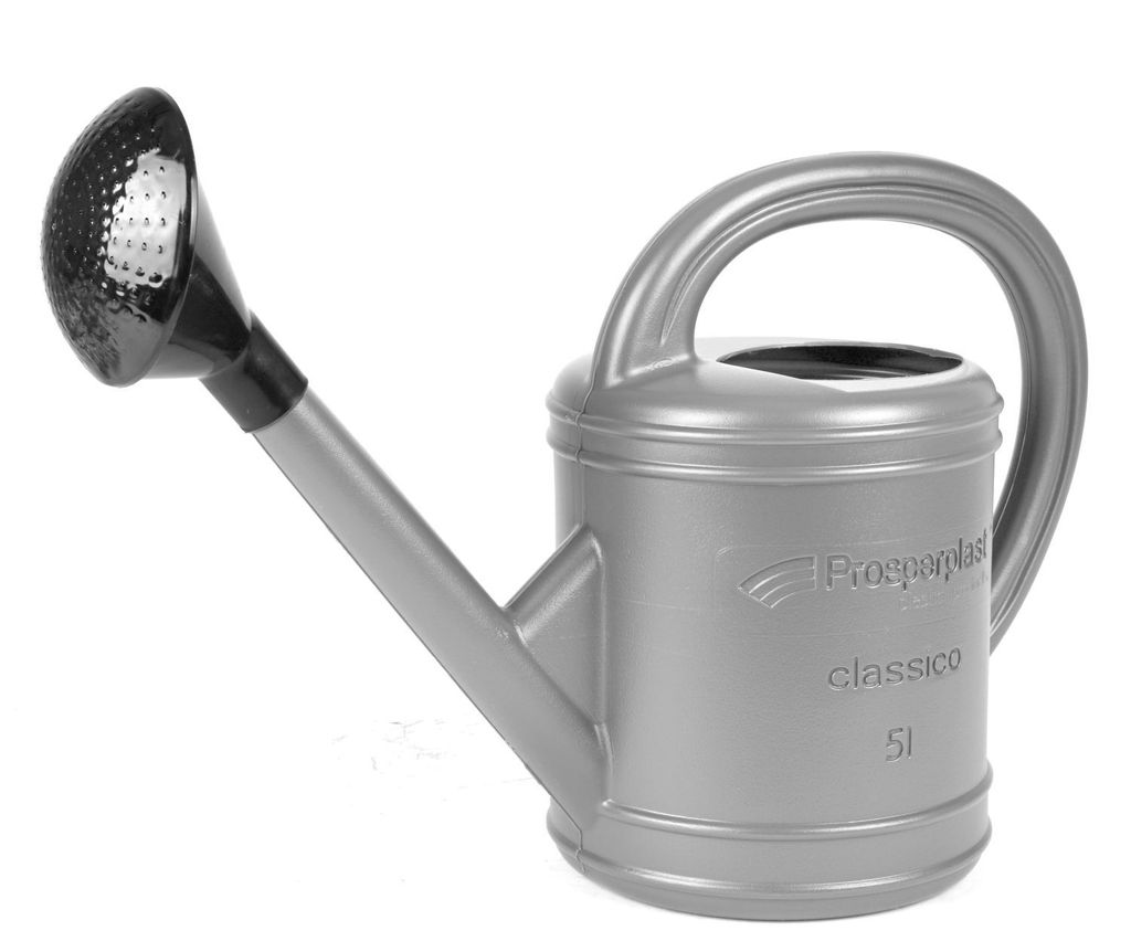Annaffiatoio argento 5L con spruzzo Annaffiatoio per fiori Immagine del prodotto 