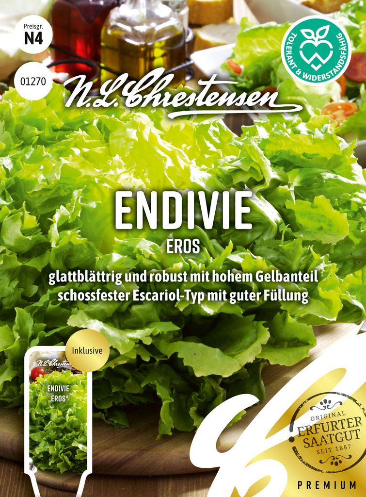 Endivie Eros | Endiviensalatsamen von N.L. Chrestensen