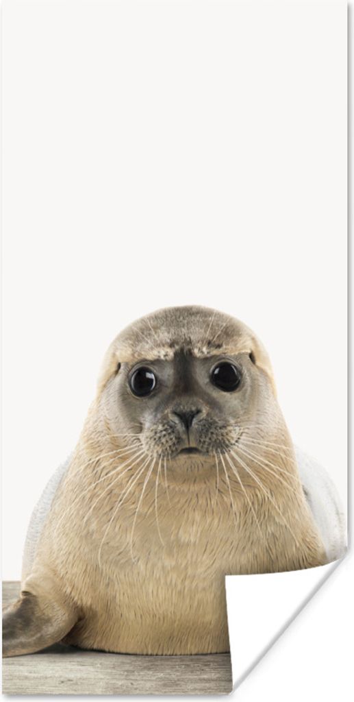 MuchoWow Poster Siegel - Tiere - Kinder - Jungen - Mädchen - Kinder 20x40 cm - Plakat - Foto