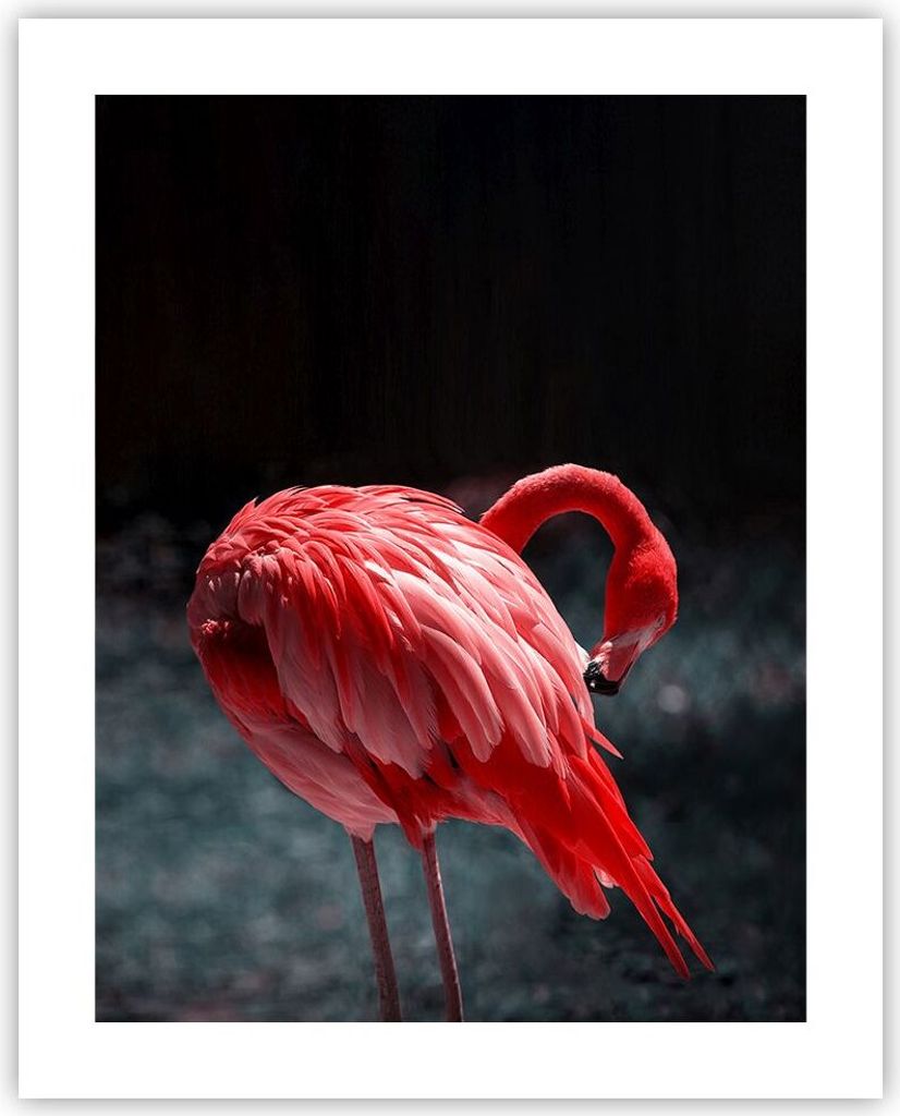 Poster - Poster ohne Rahmen - Flamingo Rosa Vogel - 40x50 cm - Wand Bild - Wanddeko - Wandbilder - Kunstposter - Wandposter - Bilder - Kunstdruck -...