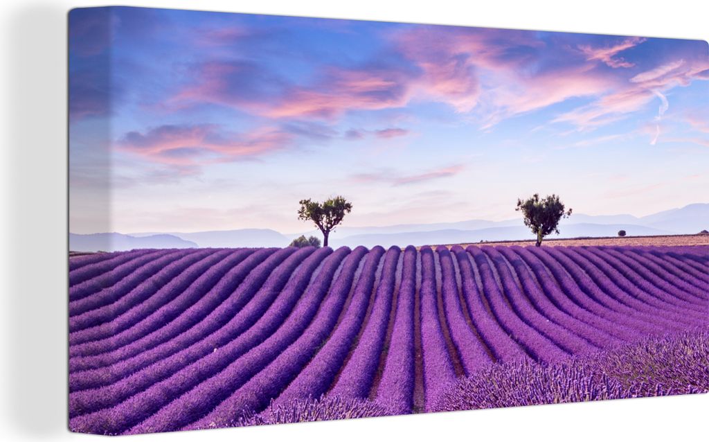 OneMillionCanvasses - Leinwandbilder - Bild auf Leinwand Wandbild Leinwandbild Lavendel - Natur - Lila - Bäume - Blumen, 40x20 cm, Kunstdruck Wa...