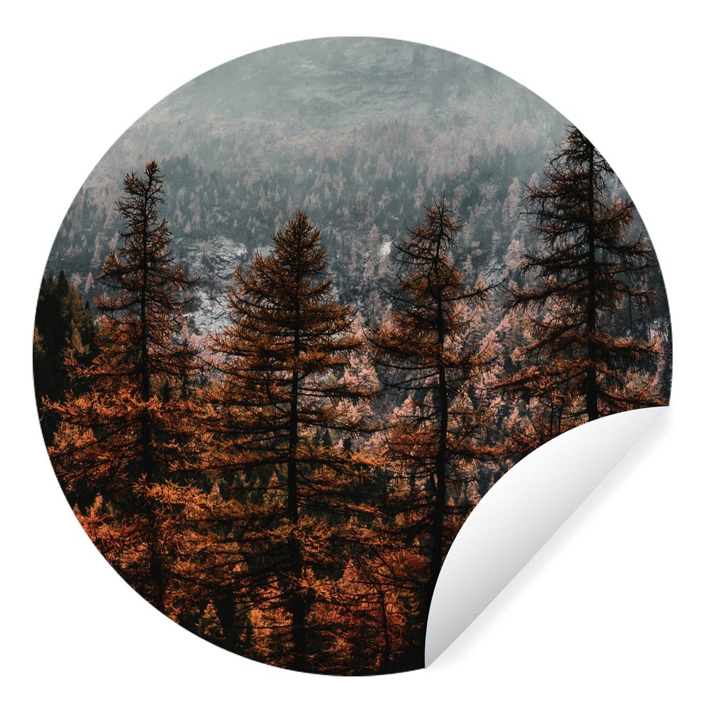 MuchoWow Runde Wandtattoo - Wandsticker Tapete Aufkleber Bäume - Nebel - Winter Ø 30 cm Selbstklebend und Repositionierbar - Wandaufkleber - Kr...
