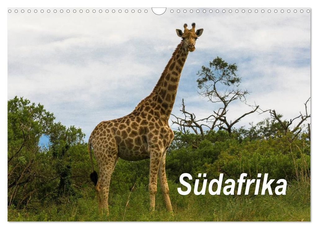 Südafrika (Wandkalender 2027 DIN A3 quer), CALVENDO Monatskalender