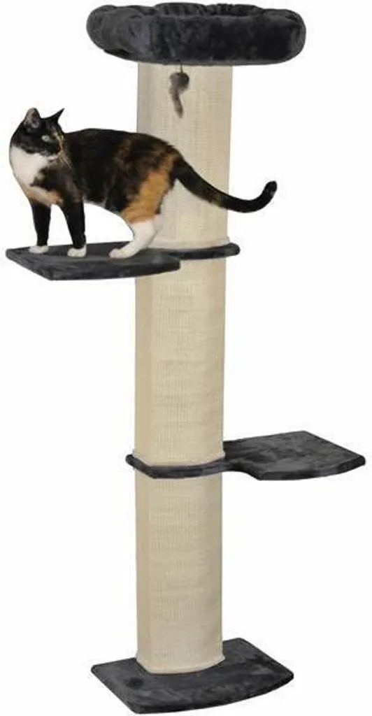 Arbre à chat mural Stella gris 186 cm - Structure haute et robuste