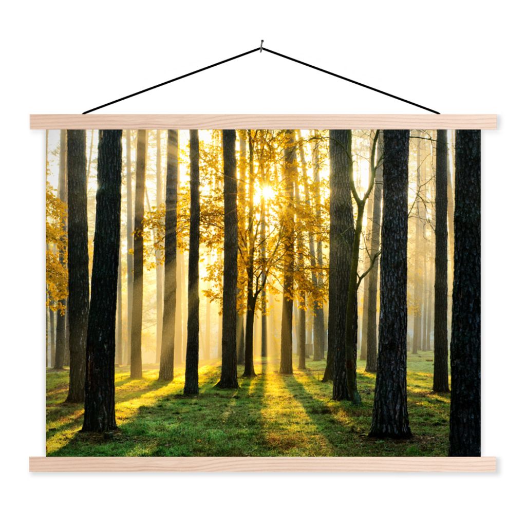 MuchoWow Textilposter Wald - Sonne - Bäume - Gras - Landschaft - Natur 40x30 cm mit holzfarbenen Rahmen - Bilder
