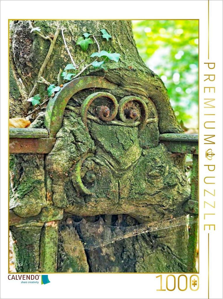 CALVENDO Puzzle Mister Cool | 1000 Teile Lege-Größe 64x48cm Foto-Puzzle für glückliche Stunden