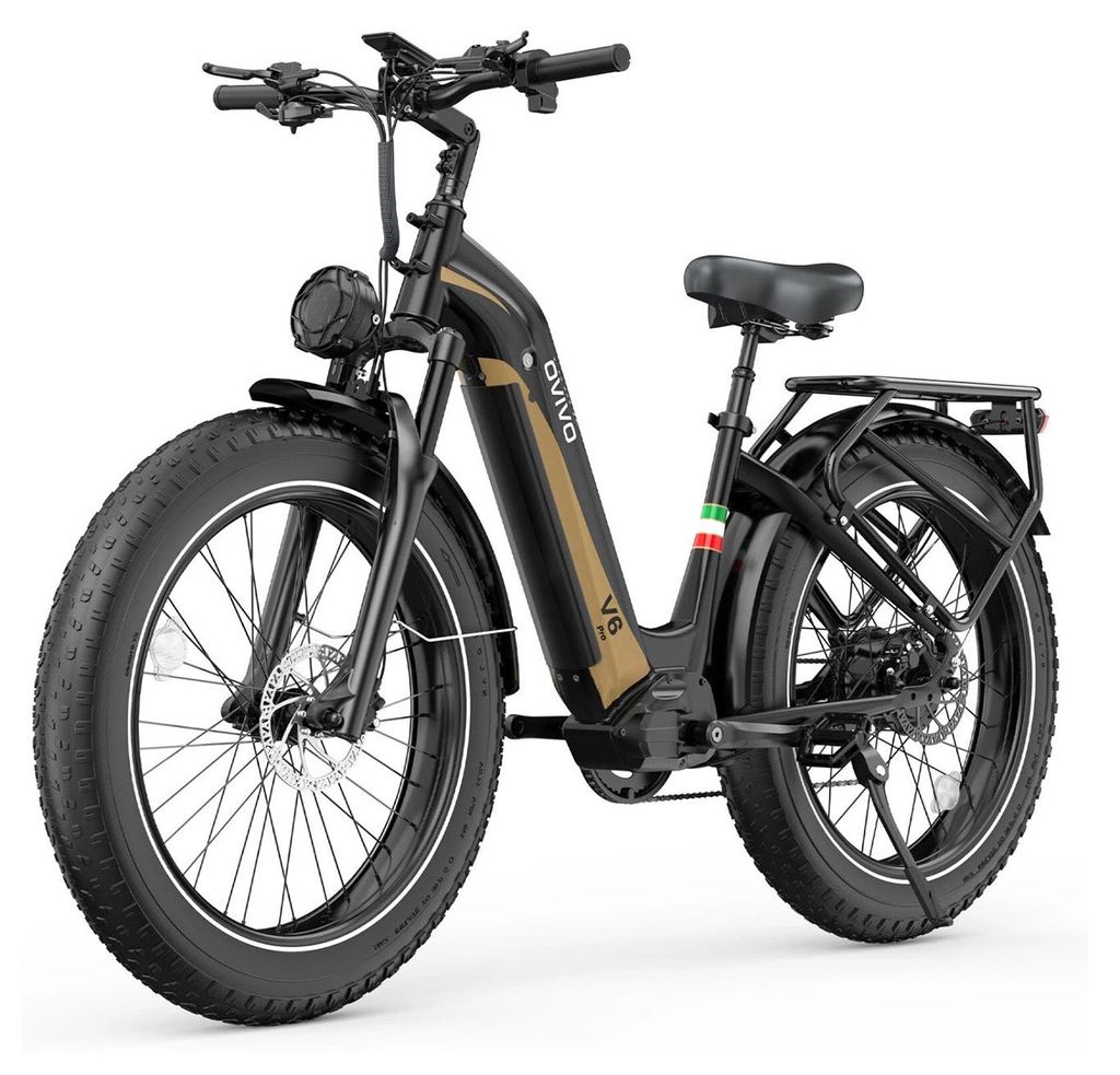 OVIVO V6 PRO E-Bike - Motor 250W Batterie 48V20AH 26Zoll HydrScheibenbremse - SchwarzGold