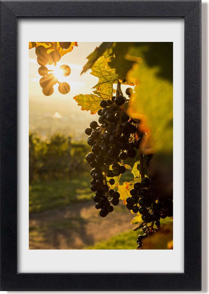 Bild 20x30 MDF-Rahmen, Wandkunst Weinberg
