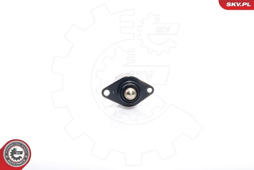 ESEN SKV 08SKV005 Leerlaufregler für OPEL Astra G CC (T98) Produktbild 