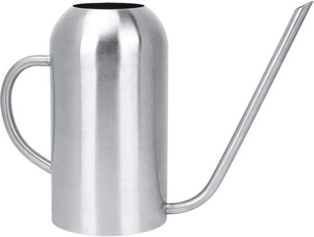 Petit arrosoir à bec verseur long pour fleurs avec finition inox brossé