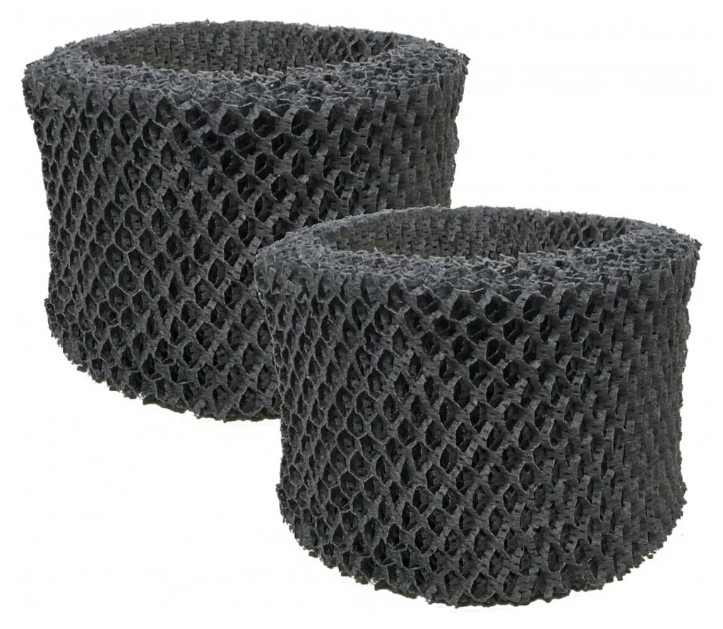 Aria Sana in Casa: Set 2 Filtri Comedes per Philips FY2401/10