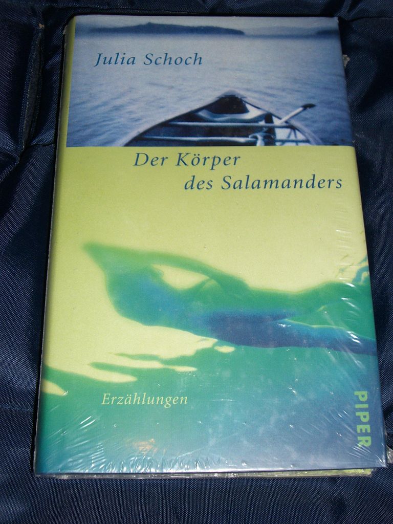 Der Körper des Salamanders : Erzählungen | Julia Schoch