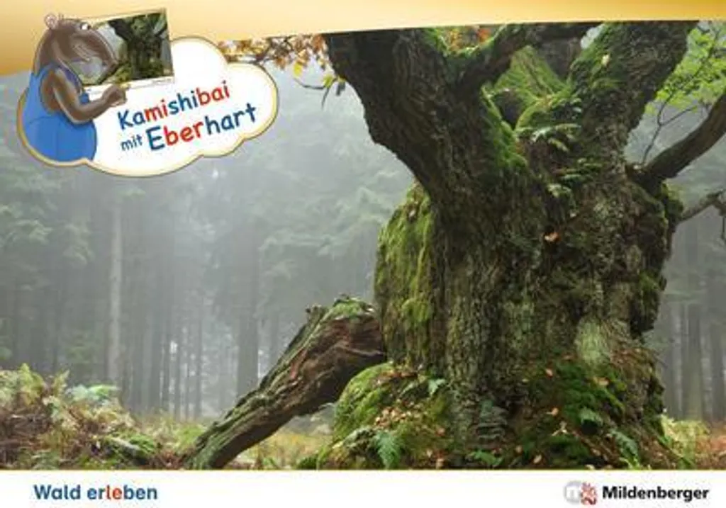 Kamishibai avec Eberhart Découverte de la forêt Coffret éducatif complet