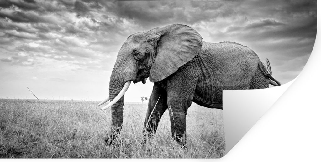 MuchoWow - Aufkleber