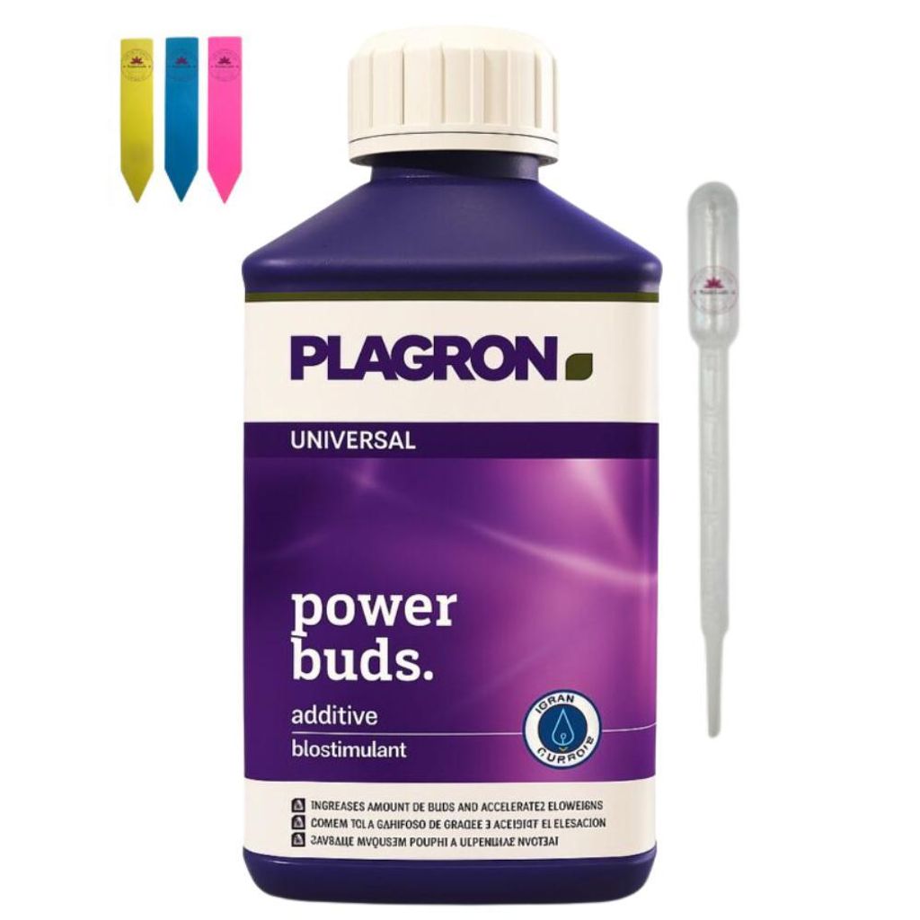 Plagron Power Buds 100 ml