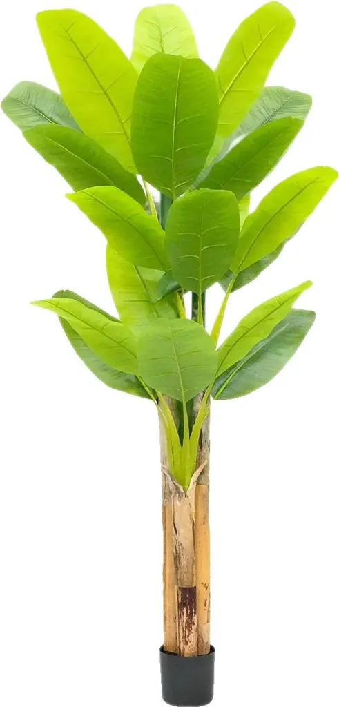 Bananier artificiel sans entretien 210cm - Finition haute qualité