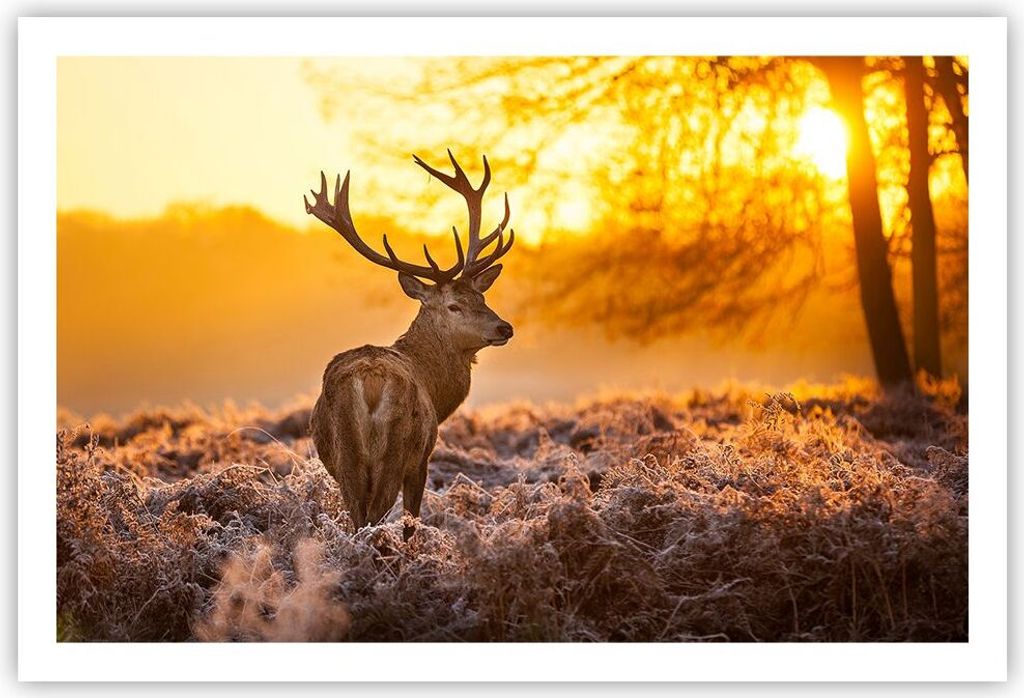 Poster - Poster ohne Rahmen - Herbst landschaft natur blatt - 91,5x61 cm - Wand Bild - Wanddeko - Wandbilder - Kunstposter - Wandposter - Bilder - ...