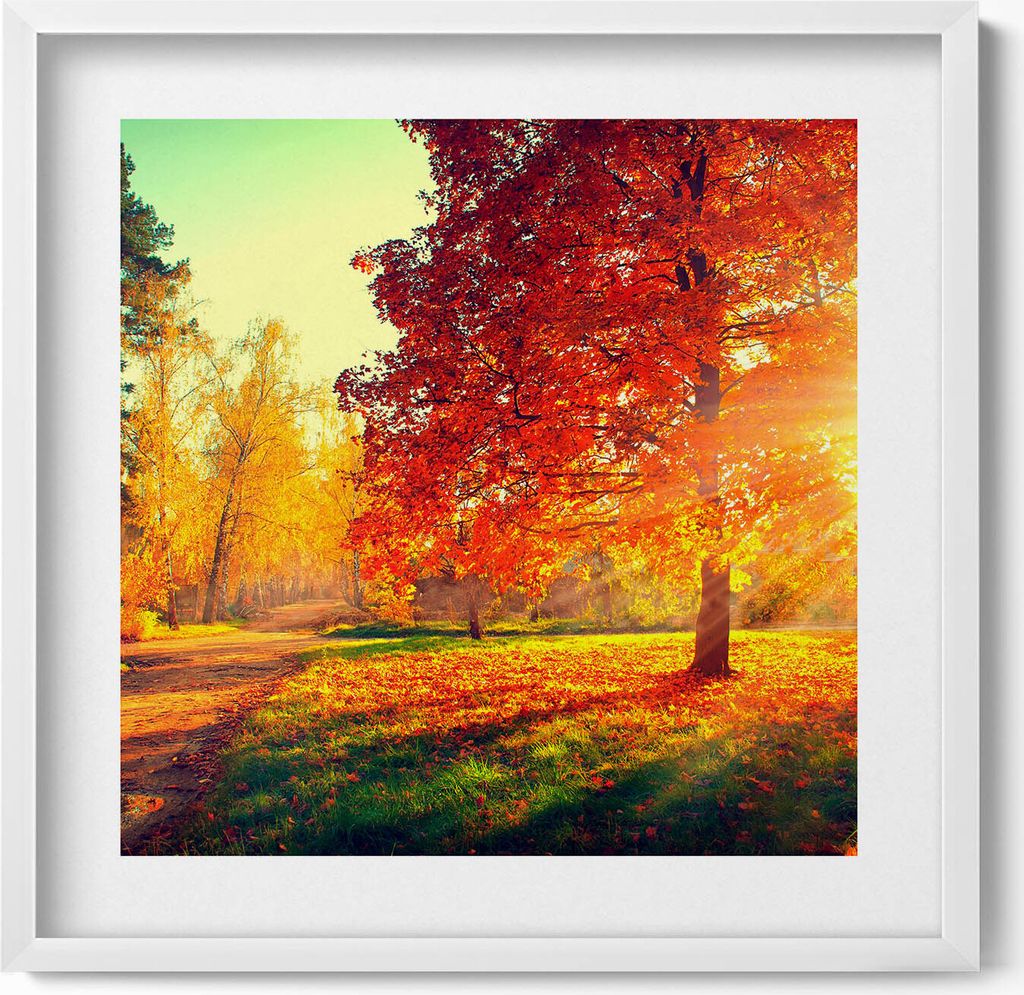Herbstlicher Park– Wandbild mit Rahmen – Gerahmtes Bild – Wanddekoration – 50x50 cm – Weiß Rahmen