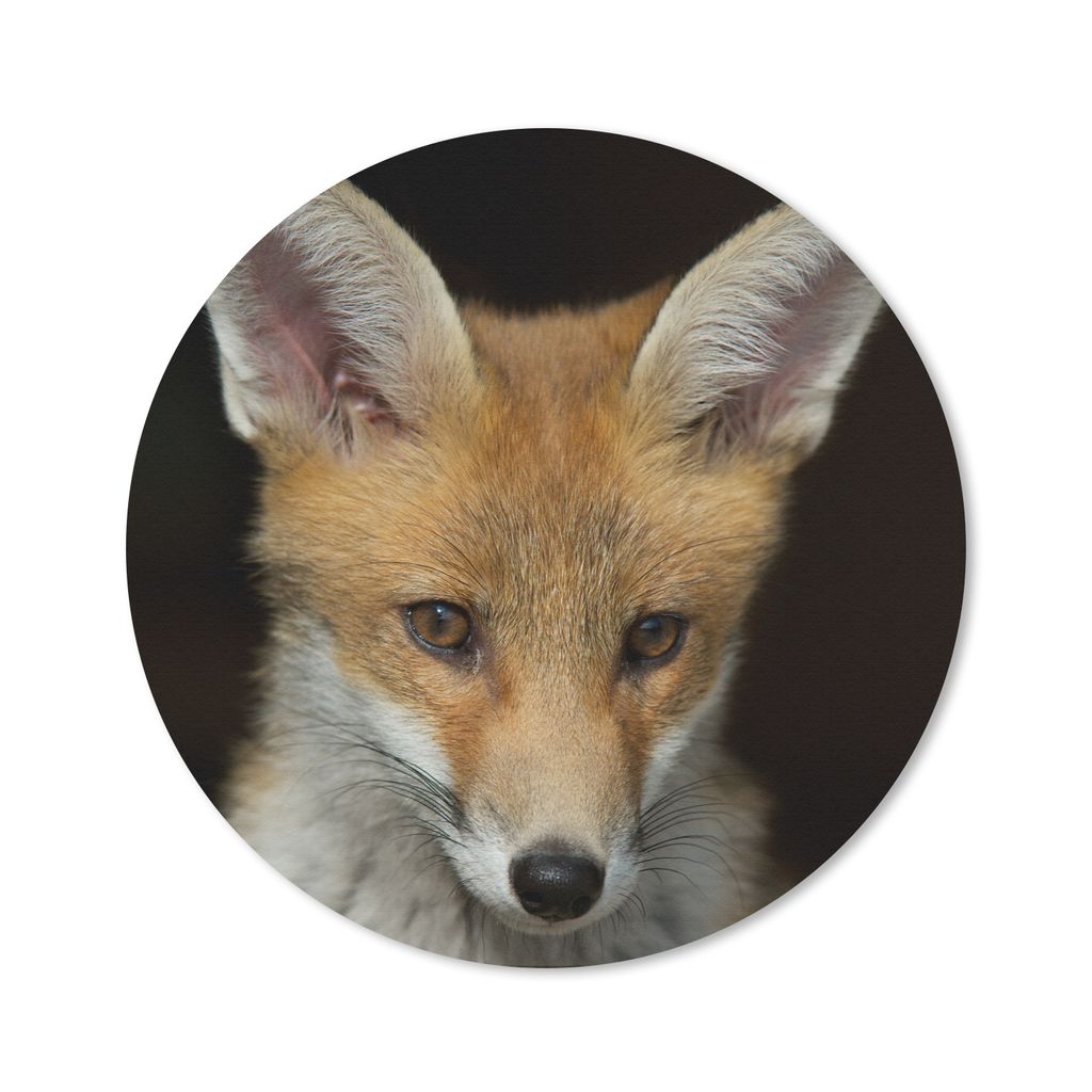 MuchoWow Mauspad Mousepad Fuchs - Porträt - Schwarz 50x50 cm - Mousepads - Maus Mat - Pad - Mausunterlage - Vinyl