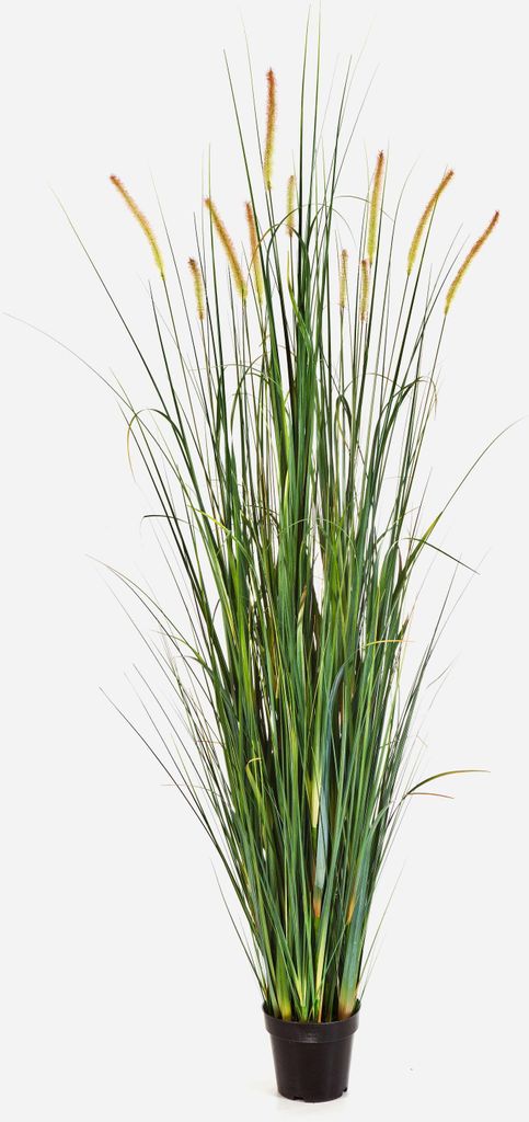 artplants.de Deko Fuchsschwanzgras FEHMI, 11 gelb - braunen Rispen, grün, 175cm - Künstliches Gras - Dekobündel