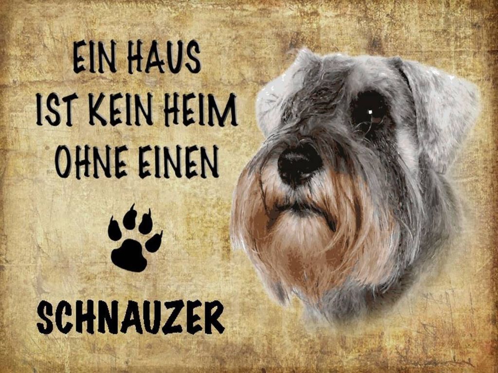vianmo Holzschild 30x40 cm Schnauzer Hund ohne kein Heim