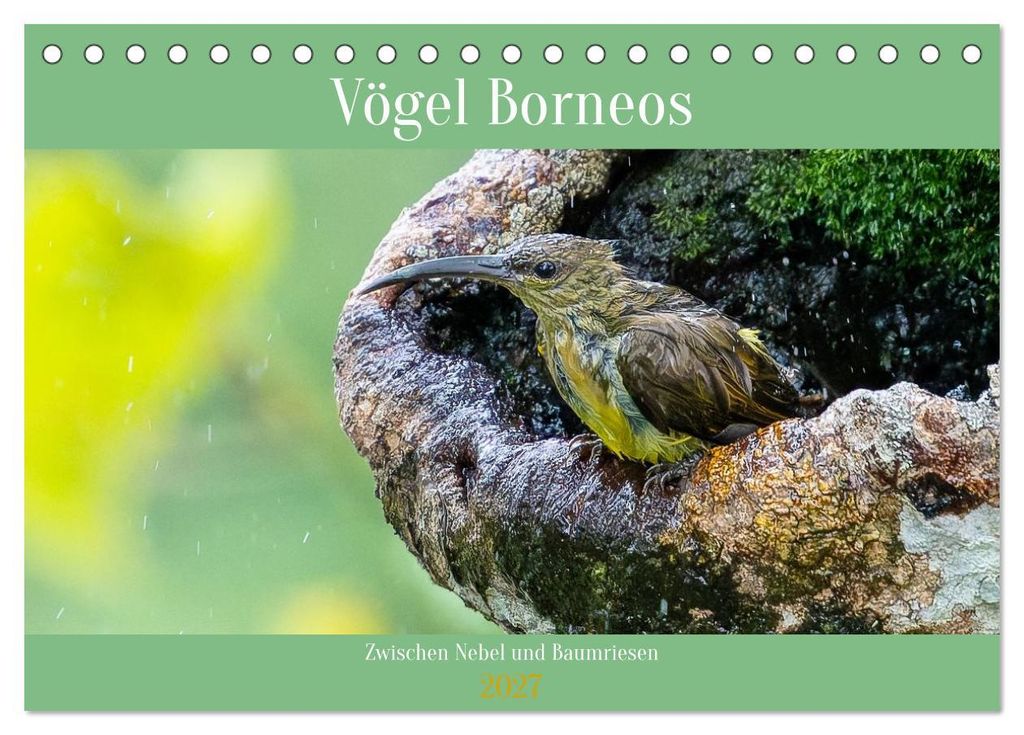 Zwischen Nebel und Baumriesen - Vögel Borneos (Tischkalender 2027 DIN A5 quer), CALVENDO Monatskalender