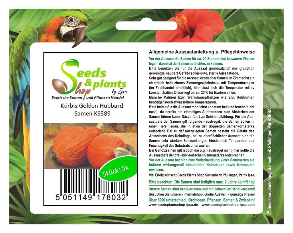 5x Kürbis Golden Hubbard - Kürbis Samen Gemüse KS589