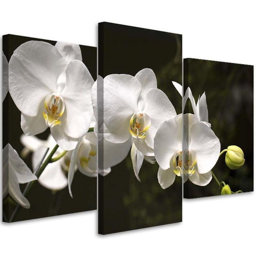 Triptychon auf leinwand weiße orchidee auf schwarzem hintergrund 120x80 cm Feeby grau wandbild bereit zum aufhängen