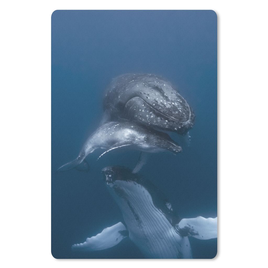 MuchoWow Mauspad Mousepad Wale - Meer - Familie 18x27 cm - Mousepads - Maus Mat - Pad - Mausunterlage