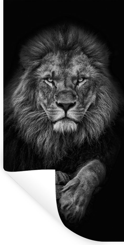MuchoWow Wandtattoo Wandsticker Wandaufkleber Löwe - Tiere - Schwarz - Weiß 60x120 cm Selbstklebend und Repositionierbar - Selbstklebend - Foto...