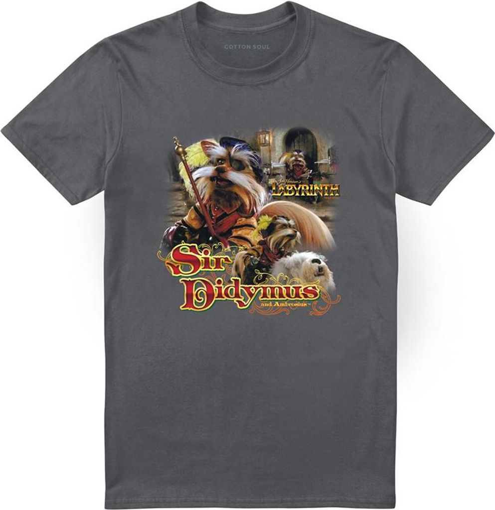 Labyrinth - T-Shirt für Herren/Damen Uni TV21543 (XXL) (Holzkohle)