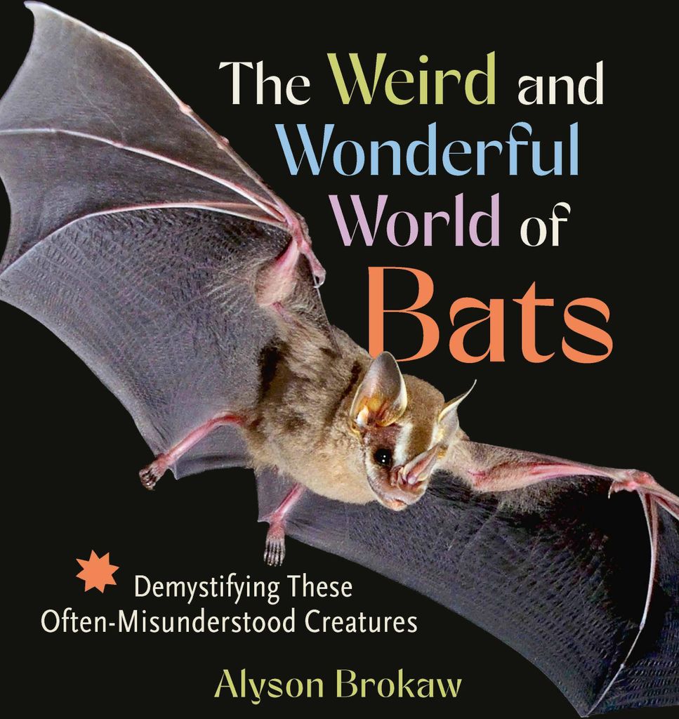 The Weird and Wonderful World of Bats