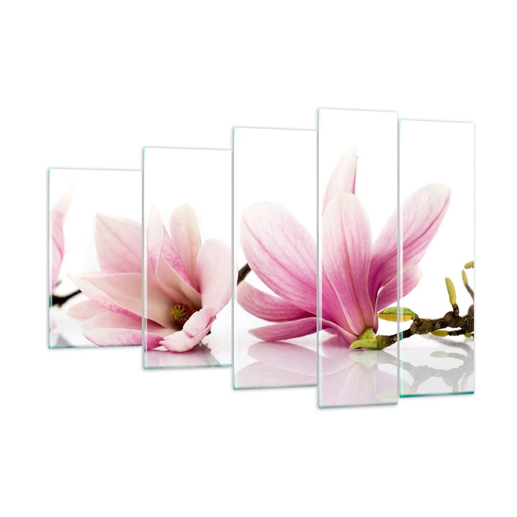 Bilder auf glas - Magnolie blume natur pflanze - 150x100cm - Glasbilder - Wandbilder - Kunstdruck - zum Aufhängen bereit - Wanddekoration aus Glas...