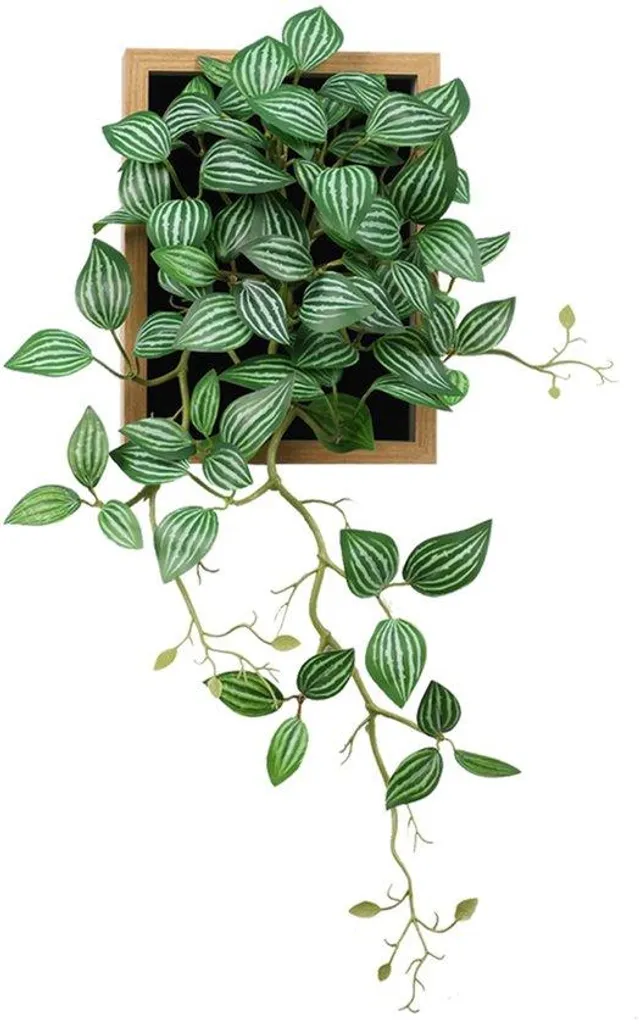 Plante artificielle sans entretien en cadre 30x48 cm : vert permanent