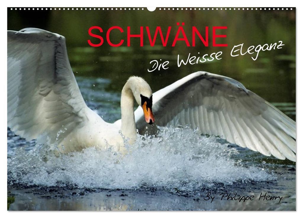 SCHWÄNE. (Wandkalender 2027 DIN A2 quer), CALVENDO Monatskalender