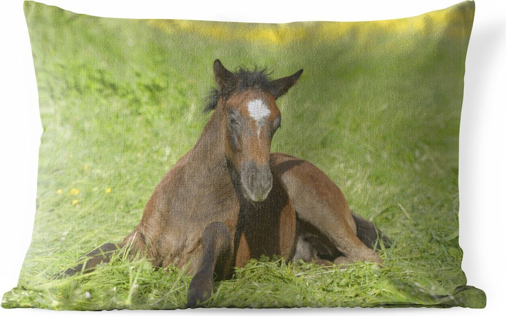 MuchoWow Outdoor Kissen - Pferde - Licht - Gras - 60x40 cm - Wetterfest - Lounge Kissen - Kissenbezüge - Dekokissenbezug - Zierkissenbezüge