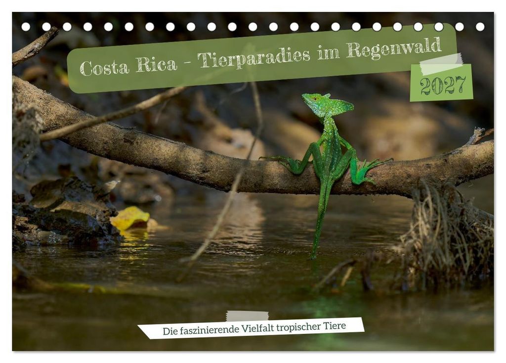Costa Rica – Tierparadies im Regenwald (Tischkalender 2027 DIN A5 quer), CALVENDO Monatskalender