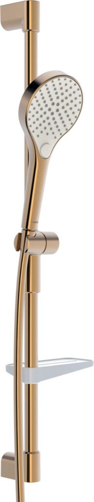 HANSA HANSAVIVA Wandstangengarnitur, 766mm, mit 3-strahliger Handbrause, inklusive Brauseschlauch, Seifenschale, 4416021081