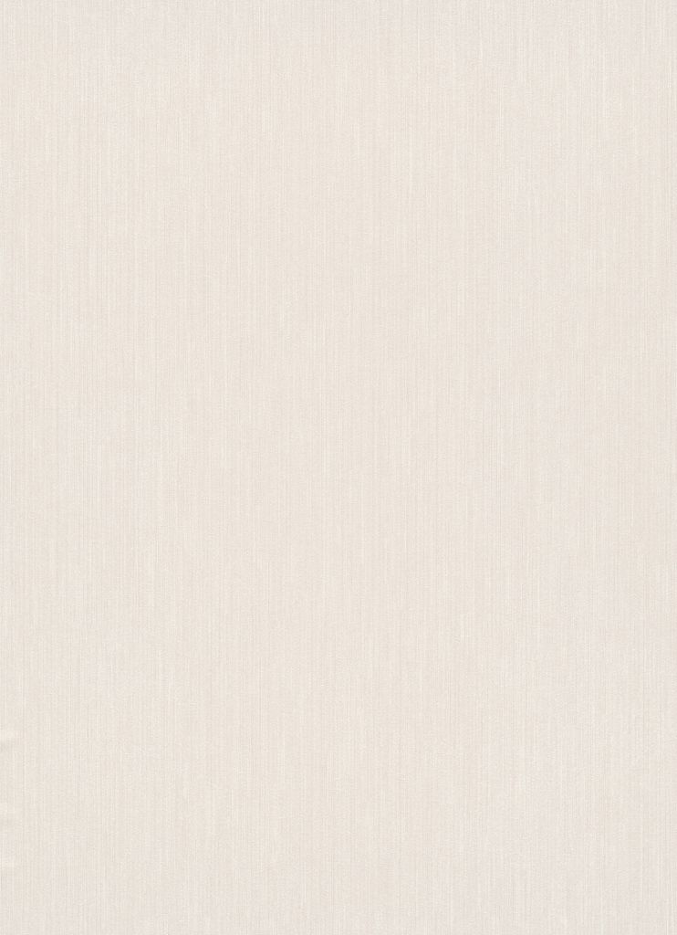 A plain, textured background.