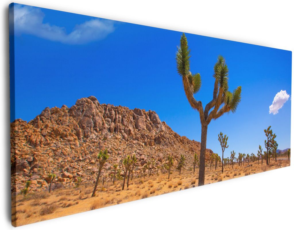 Wallario Premium Leinwandbild Palmlilie im Nationalpark Yucca Valley Wüstenlandschaft in Größe 80 x 200 cm