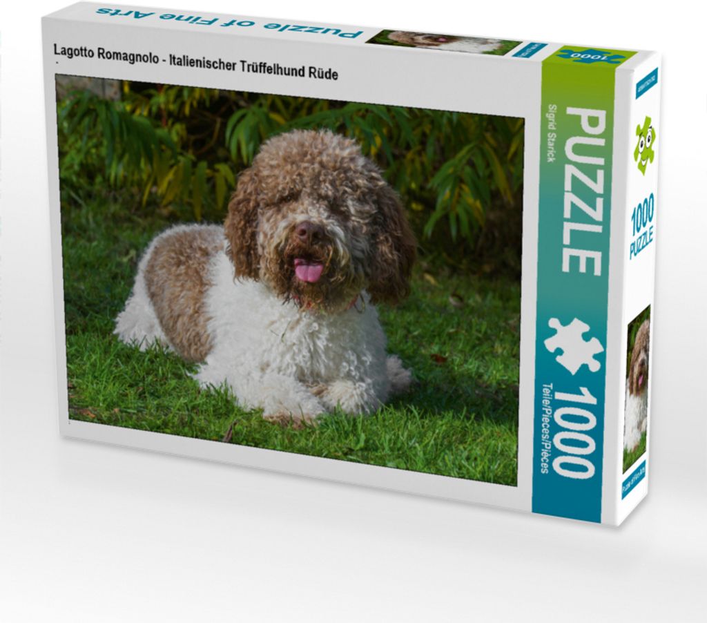 CALVENDO Puzzle Lagotto Romagnolo - Italienischer Trüffelhund Rüde | 1000 Teile Lege-Größe 64x48cm Foto-Puzzle für glückliche Stunden
