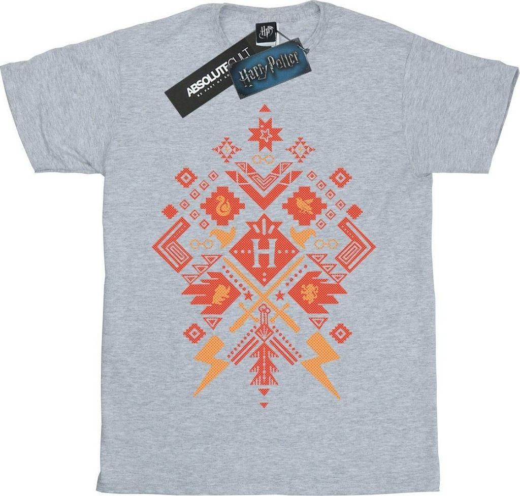 Harry Potter - T-Shirt für Jungen BI20165 (152-158) (Grau)