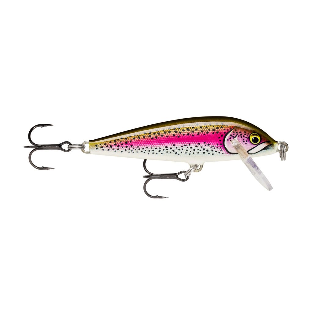 Rapala Wobbler Countdown Farbe Artistic Rainbow Trout