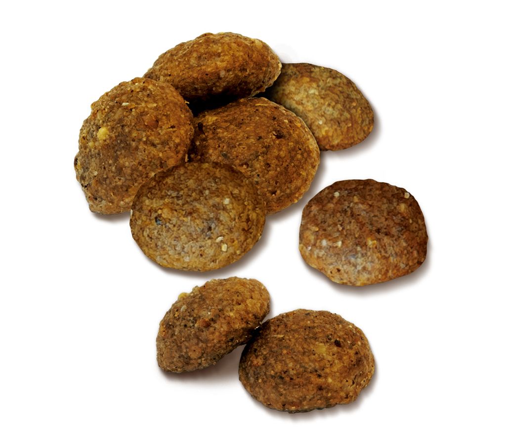 Naturpfötchen Freilandgans Hundefutter - 5 Kg, Kaltgepresst, Mit Gemüse & Kräutern, 25% Protein
