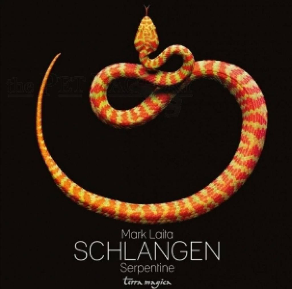 Schlangen-Serpentine