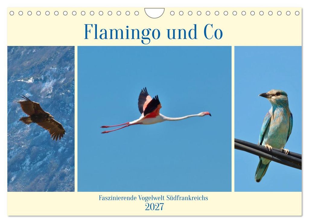 Flamingo und Co - Faszinierende Vogelwelt Südfrankreichs (Wandkalender 2027 DIN A4 quer), CALVENDO Monatskalender
