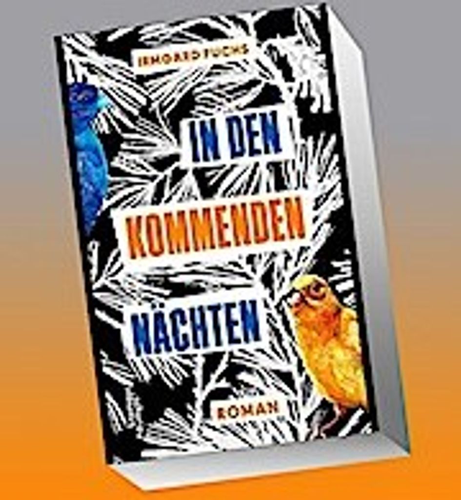In den kommenden Nächten
